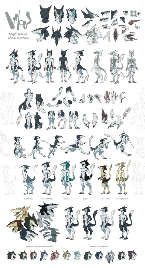 Sergal Anatomy Reference - Free version!
